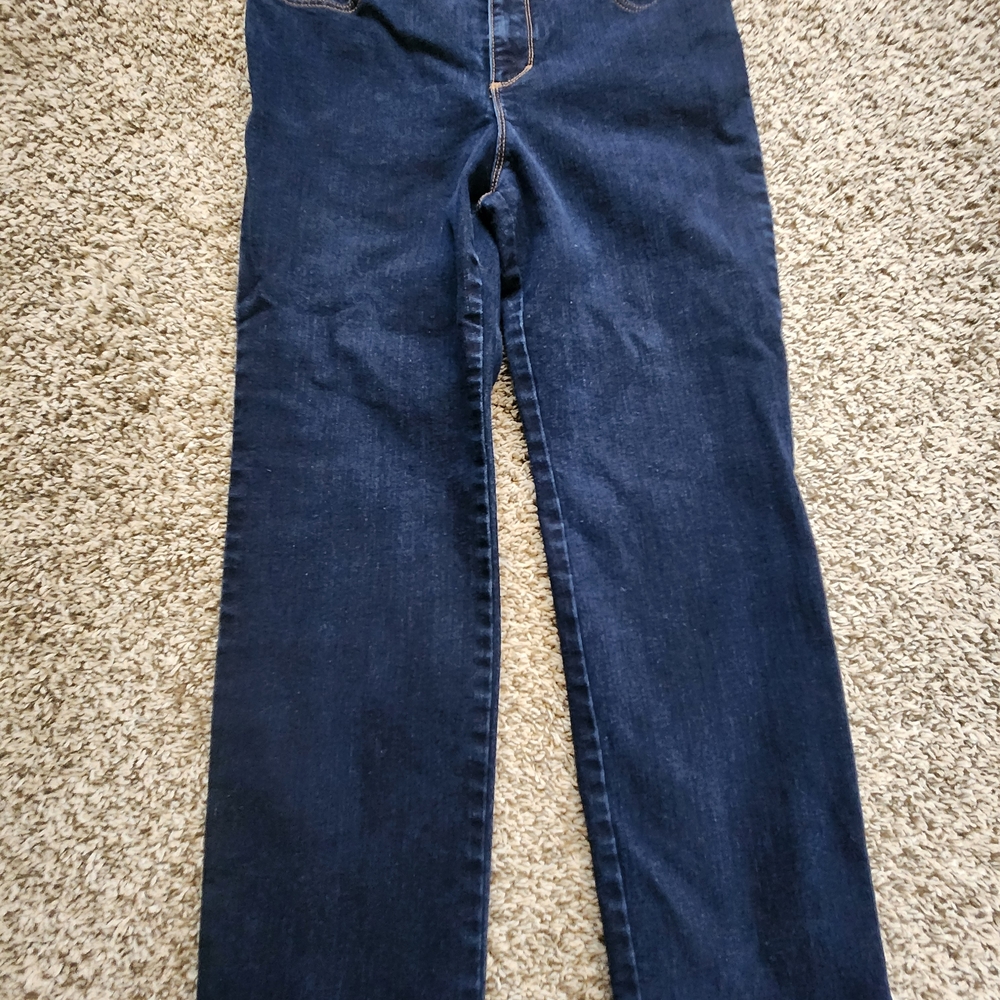 Gloria Vanderbilt Petites High-Rise Straight Leg Jeans Women's 10PS Rinse Noir~